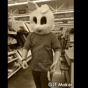 Meet your Posher, Lynn